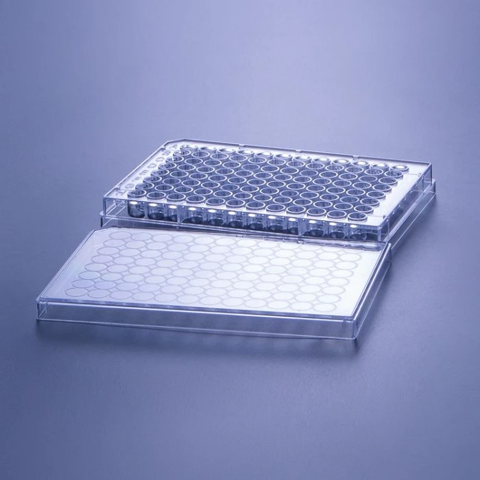96 cell plate(001)