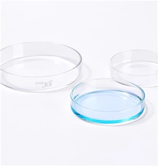 Boîte de Pétri en verre réutilisée en laboratoire, boîte transparente en verre borosilicaté, emballage pour la Culture cellulaire