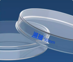 Boîte de Pétri en verre ultra-plate